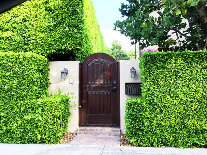 cloture vegetale jardin
