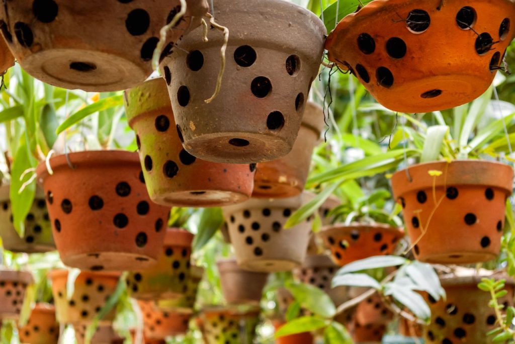 pot spécial orchidée