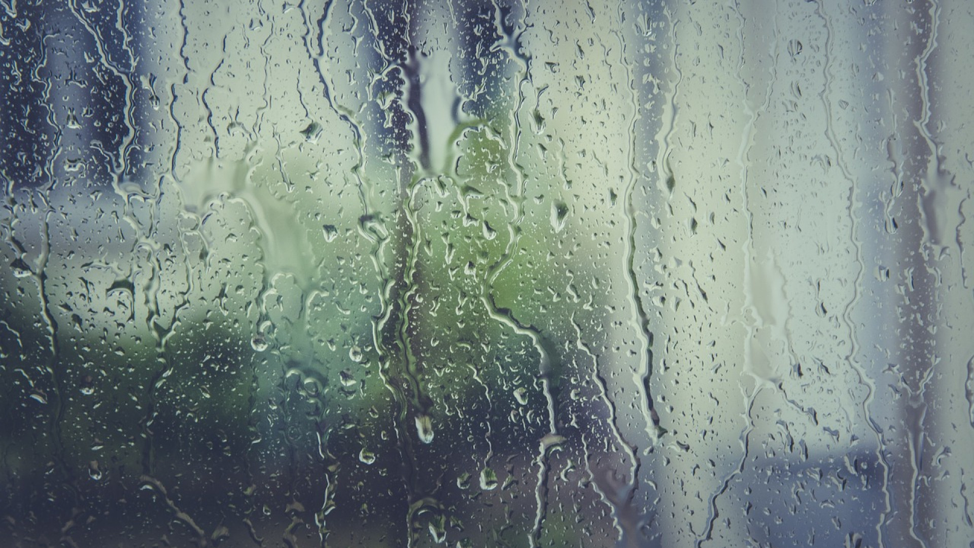 Et si vous récupériez les eaux de pluie pour un usage domestique ?