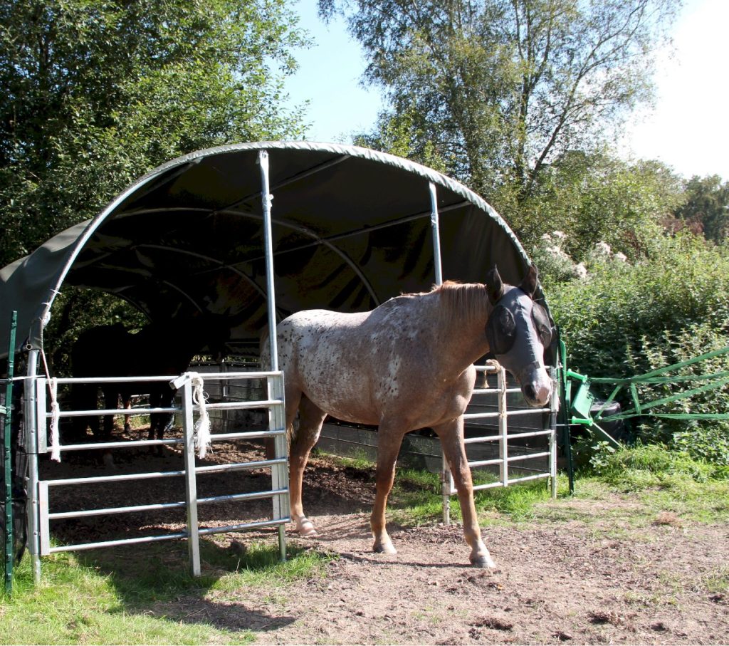 tunnel agricole pour chevaux