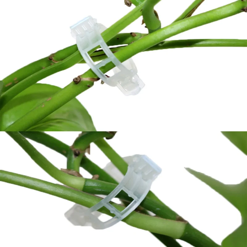 Clips pour formation des branches de bonsaï – Image 6