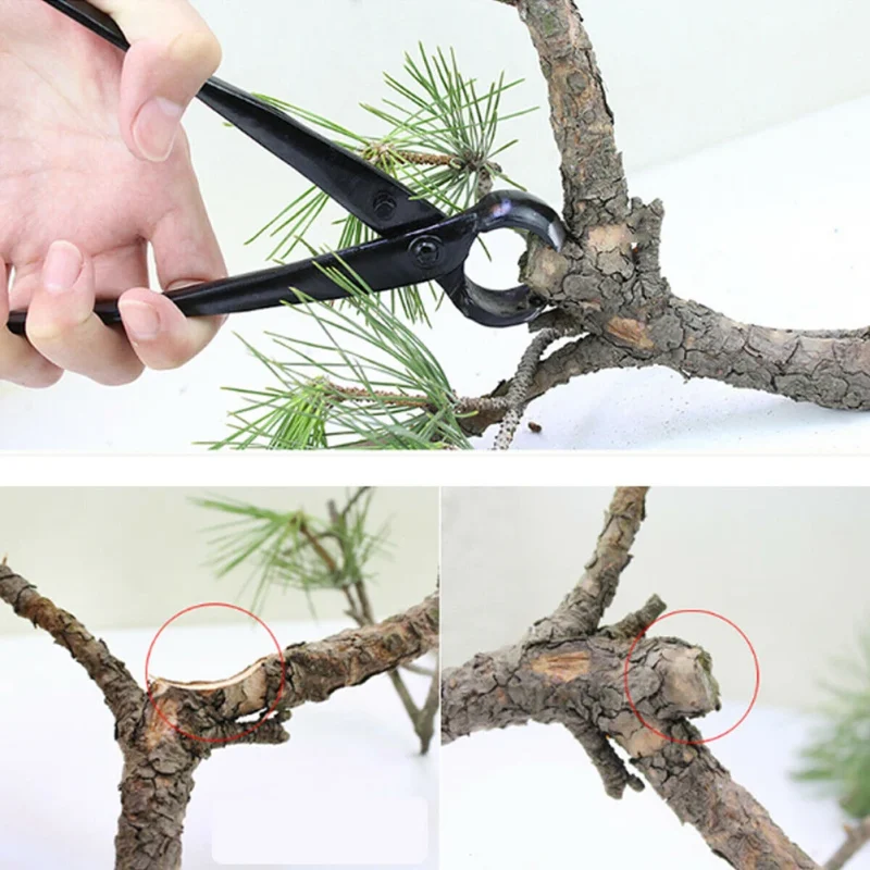 Clippers Root Tree Garden Tools Bonsai High Hardness Manganese Steel Shear Ball Joint Branches Pruning Cutting Plier 8.27inch – Image 4