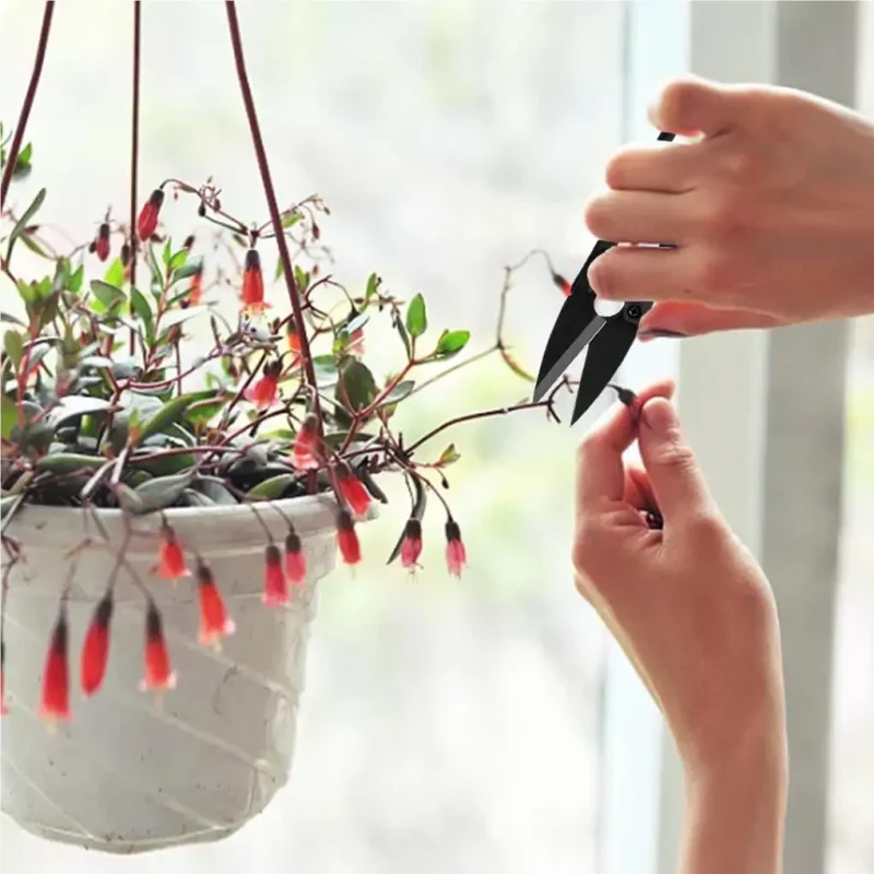 Ciseaux pour enlever les feuilles de bonsaï : Mini-sécateur – Image 2