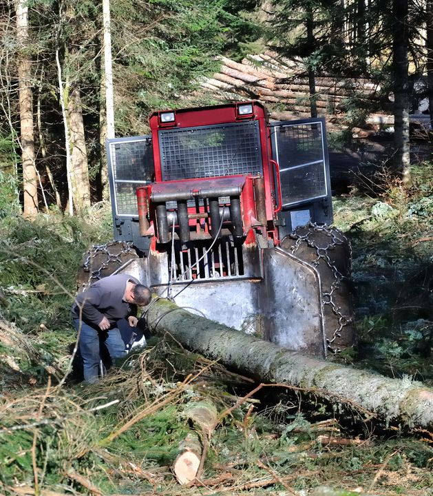 treuil forestier de débardage